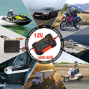 Cargador De Batería Profesional Para Vehículos 🚗 ¡Oferta exclusiva! 🎉